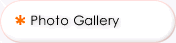 Photo Gallery