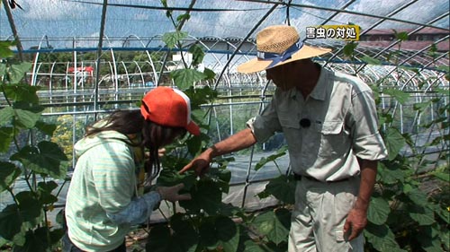 浩一のがまだせ 熊本