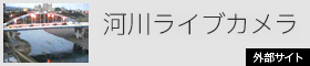 ͐색CuJ